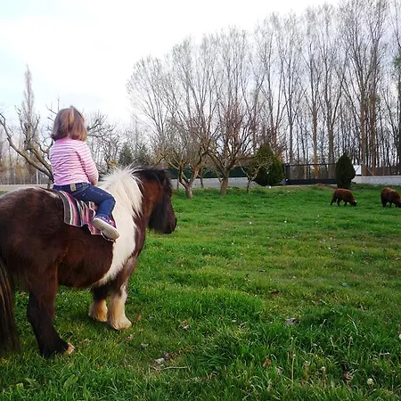 컨트리하우스 Casa Rural El Manantial *