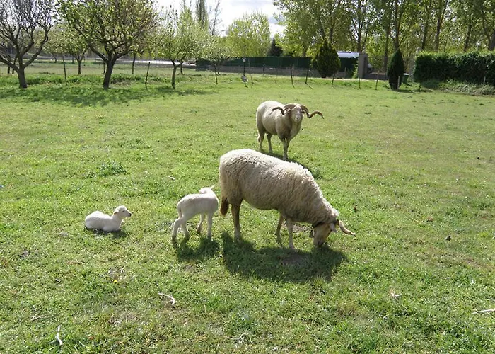 Casa Rural El Manantial בית כפרי Ciudad-Rodrigo