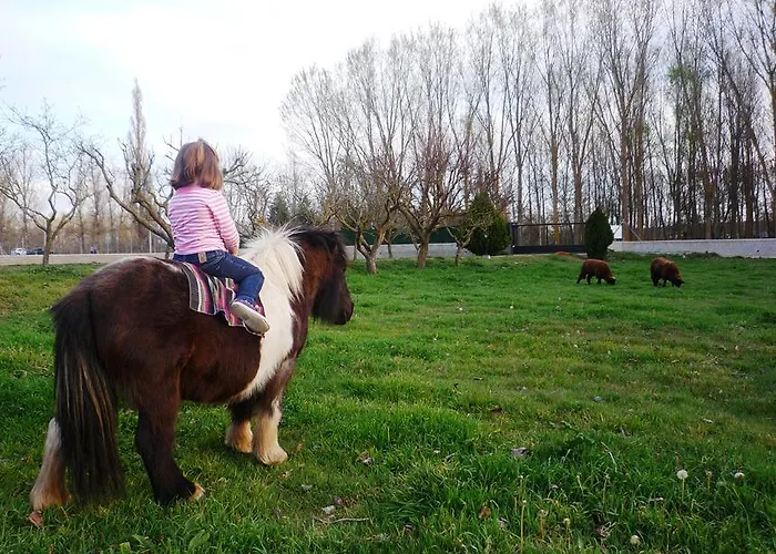 בית כפרי Casa Rural El Manantial *